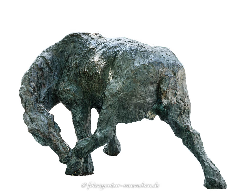 Pferd, sich beißend 1965