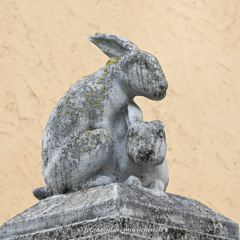 Hasen und Affen