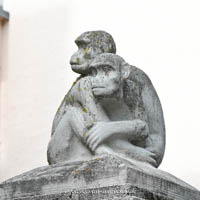 Gerhard Willhalm - Hasen und Affen