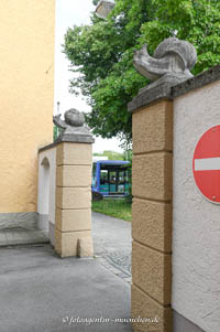 Zwei große Schnecken