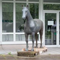 Gerhard Willhalm – Das Pferd