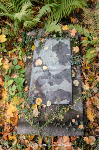 Alois Bayer