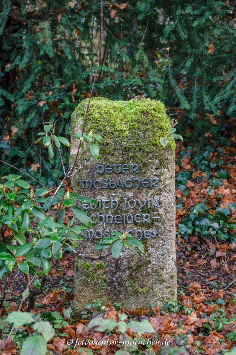 Edith Schneider