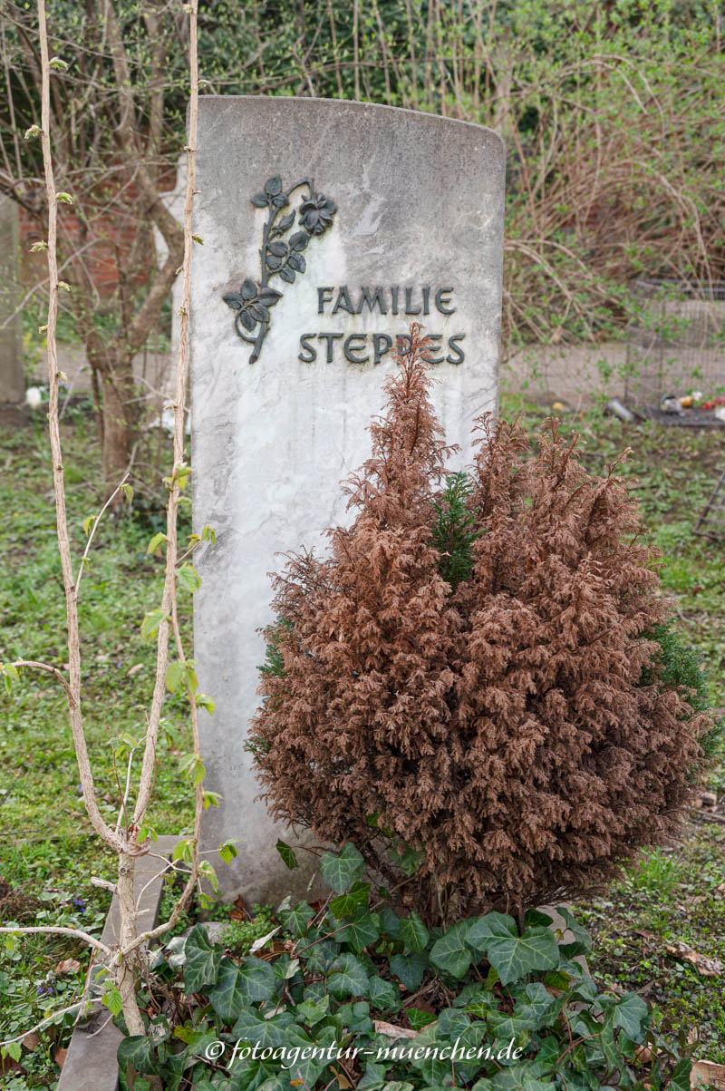 Prof. Edmund Steppes
