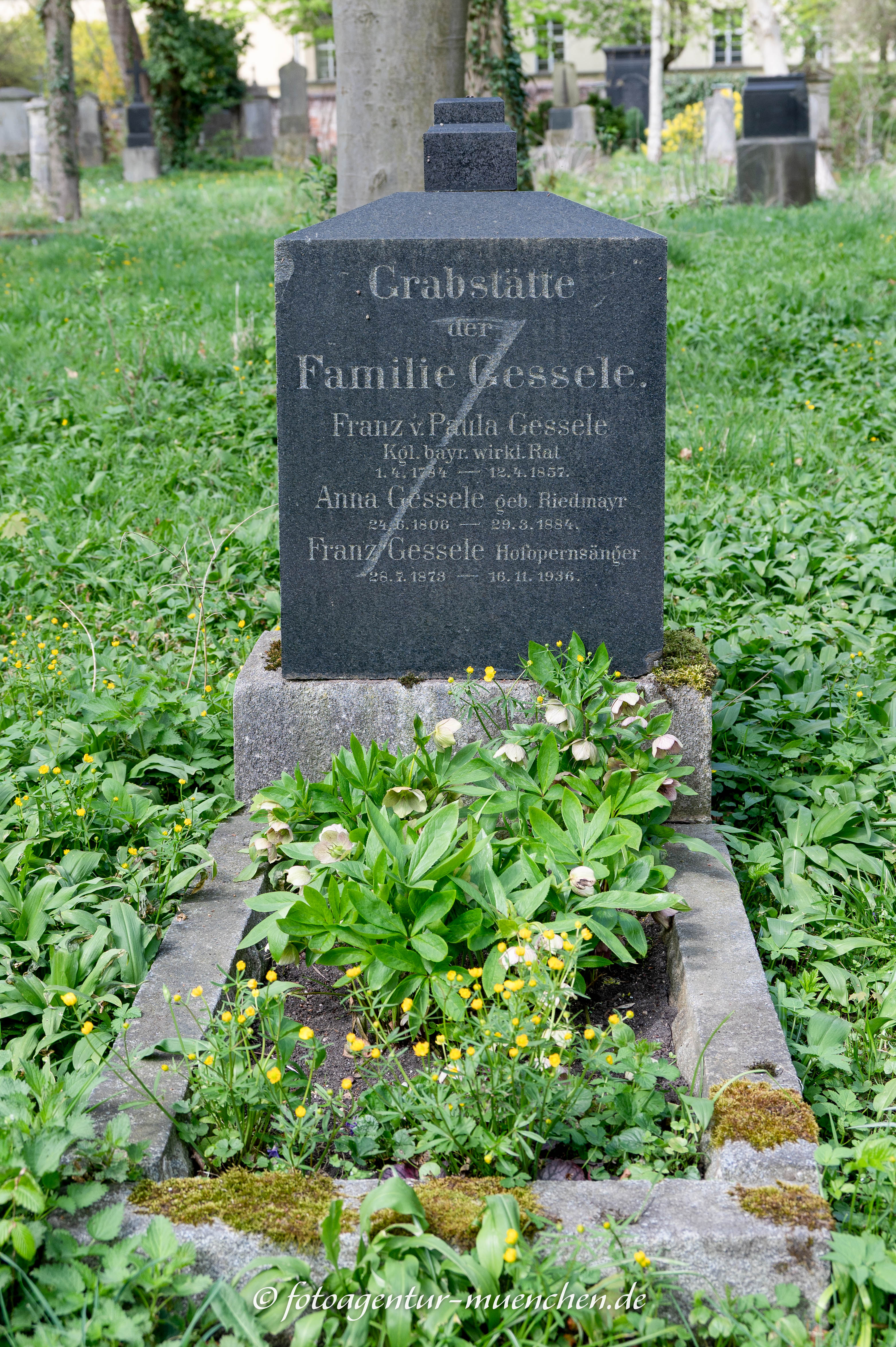 Franz Gessele