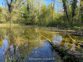  – Weiher