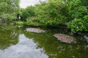  – Sollner Weiher