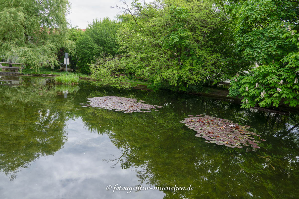 Sollner Weiher