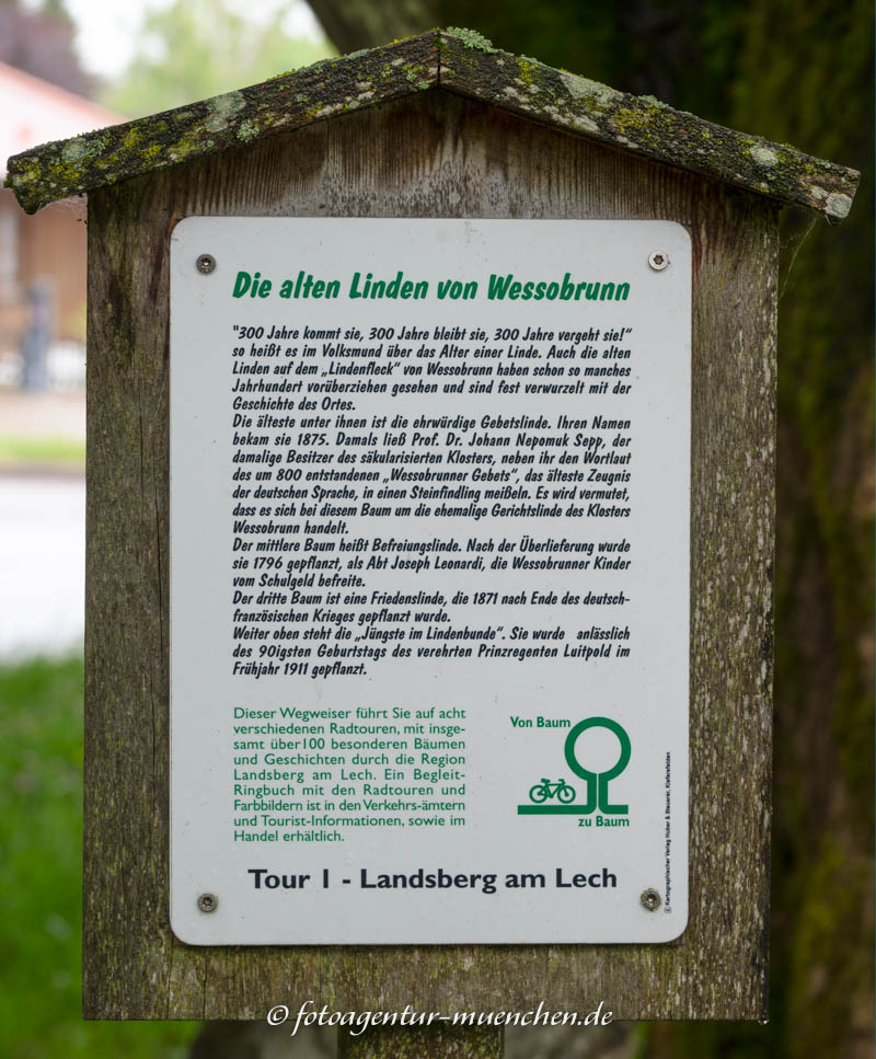Infotafel - Linden von Wessobrunn