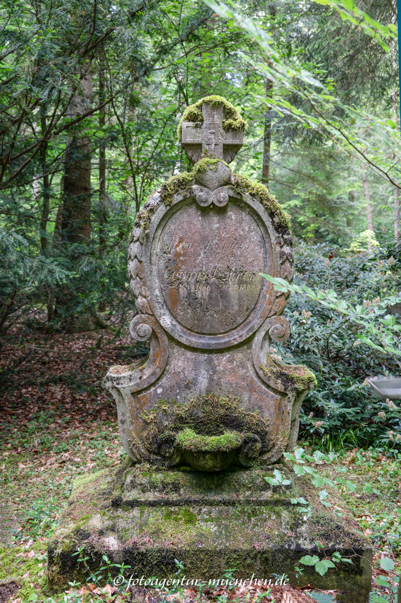 Ludwig Bolgiano