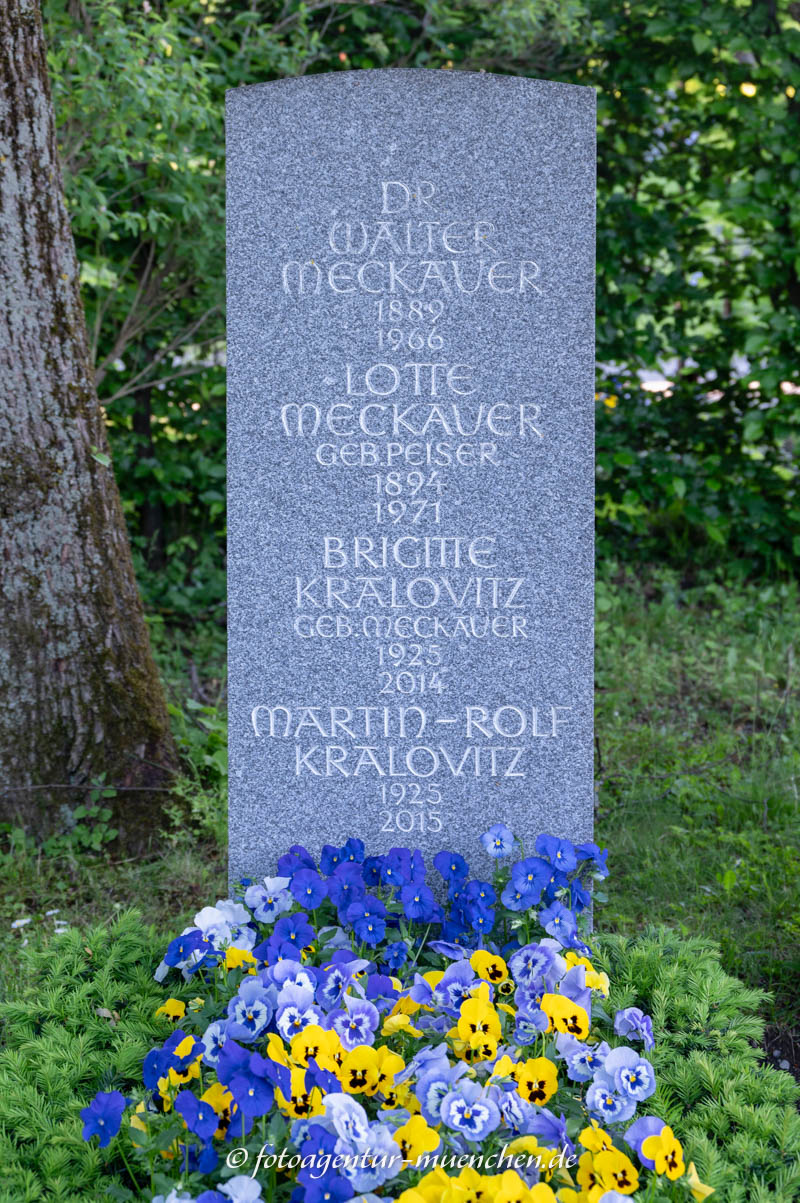 Walter Meckauer
