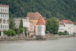  – Schaibling