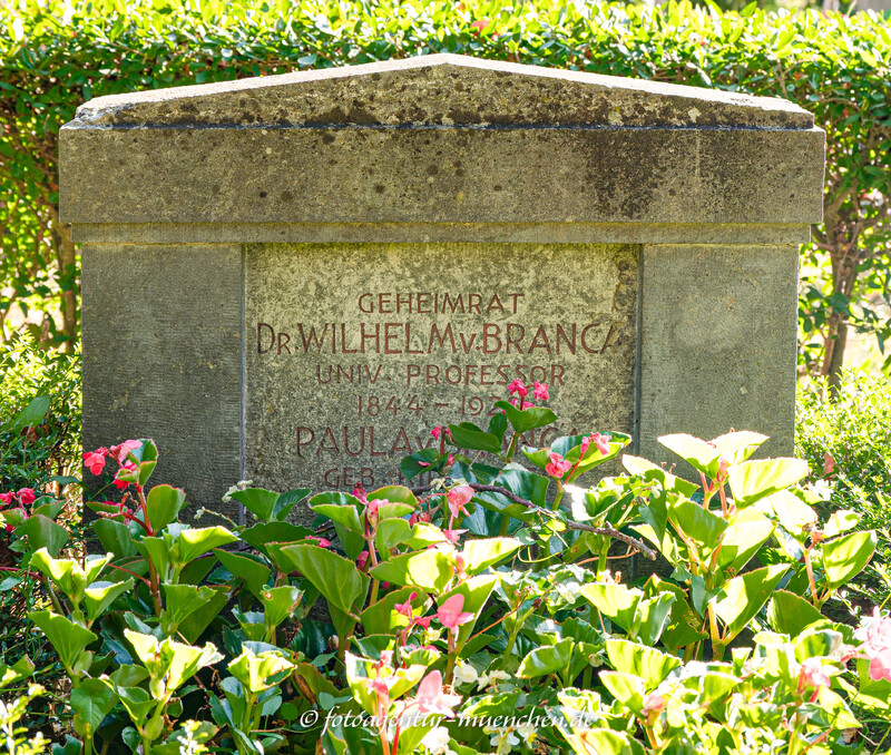 Prof. Dr. phil., Dr. rer. Wilhelm von Branca