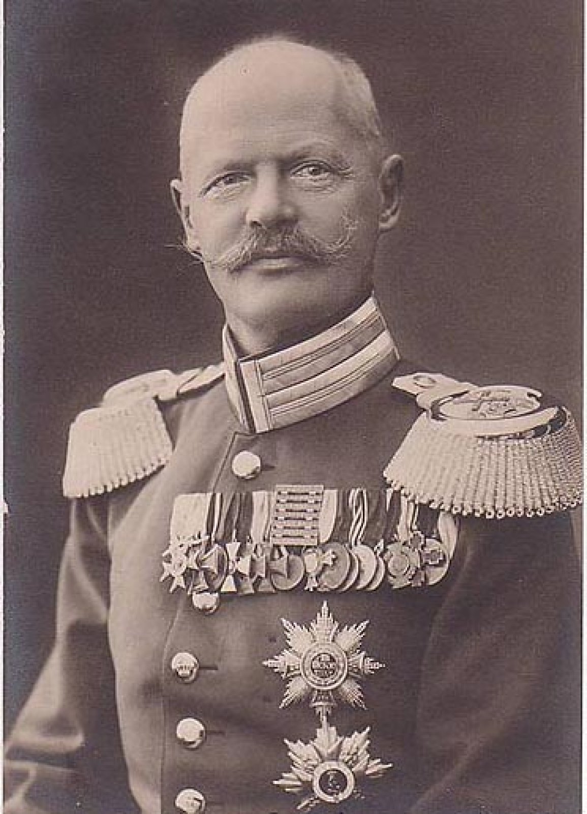 Porträt von Arnulf