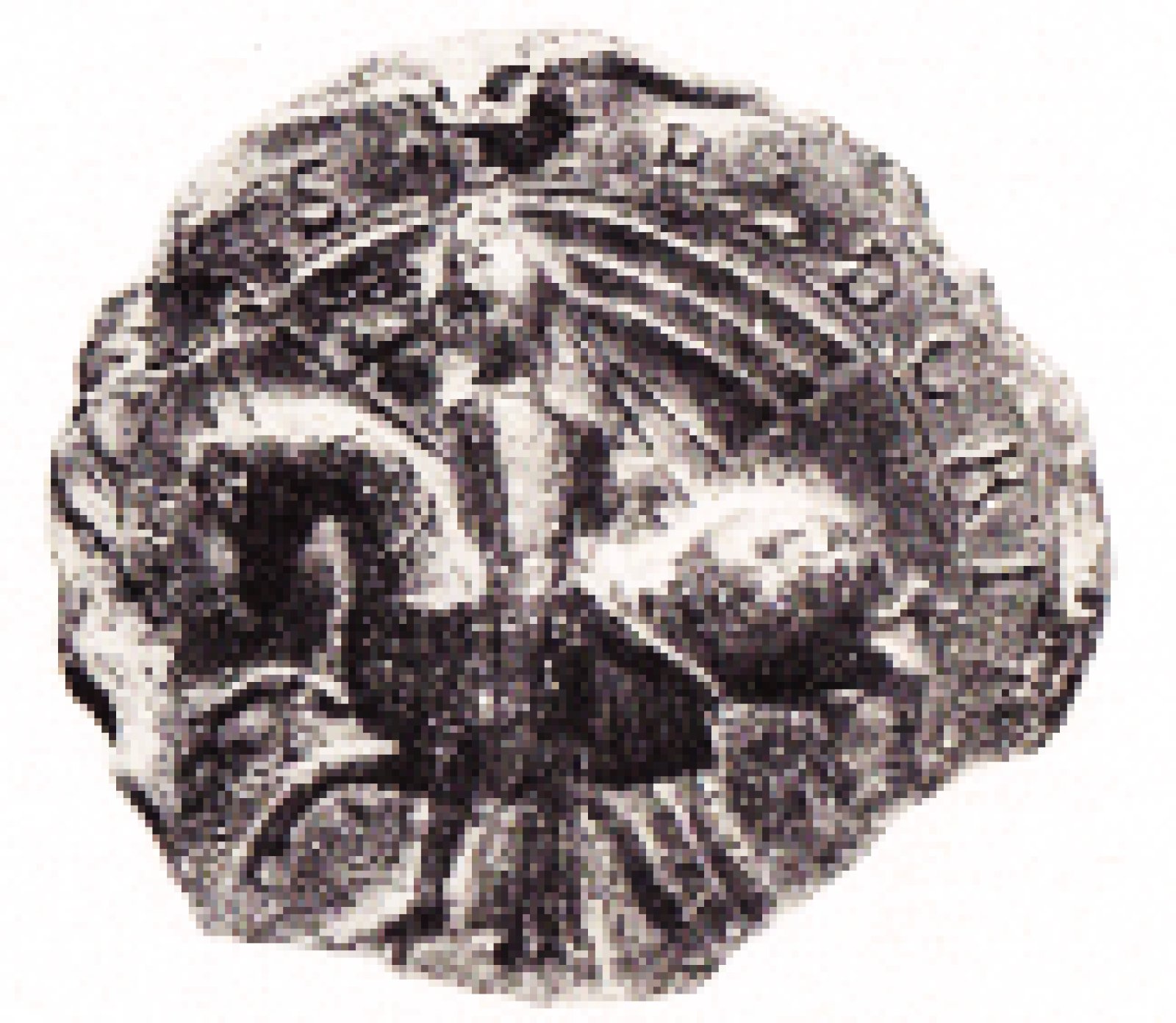 Porträt von Friedrich II. von Wittelsbach
