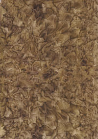 Cover: München