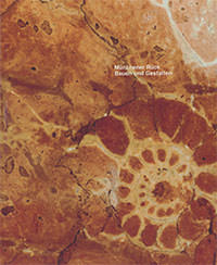 Cover: Münchner Rück
