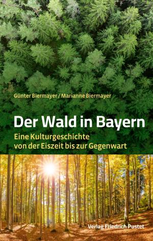 Cover: Der Wald in Bayern