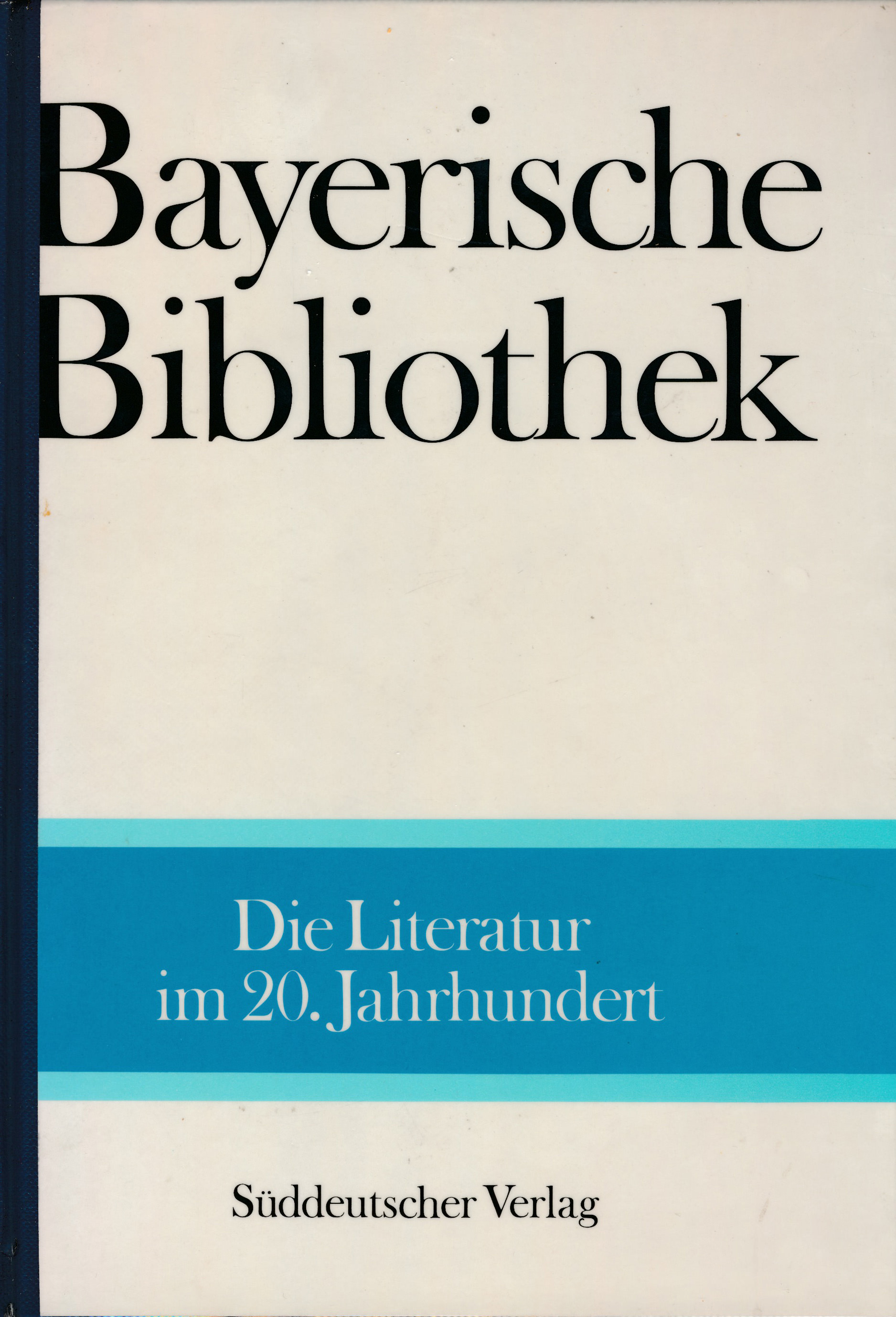 Cover: Die Literatur im 20. Jahrhundert. Bayerische Bibliothek