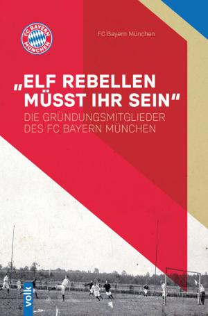 München Buch Elf Rebellen müsst ihr sein