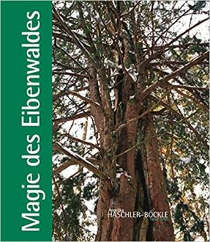 Magie des Eibenwaldes