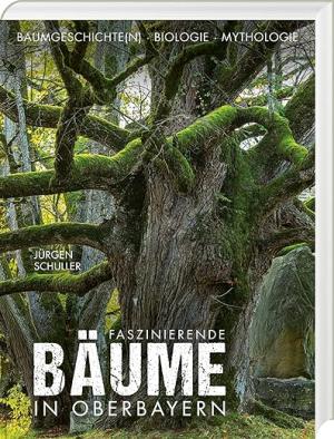 Cover: Faszinierende Bäume in Oberbayern