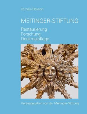Cover: Meitinger Stiftung Restaurierung Forschung Denkmalpflege