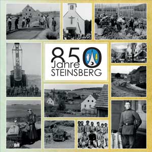 Cover: 850 Jahre Steinsberg : 1170-2020