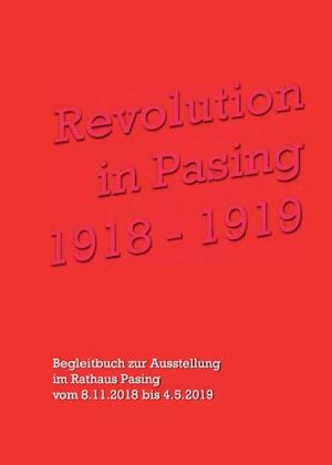 Revolution in Pasing 1918 - 1919