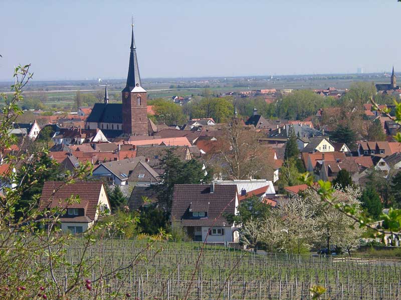 Logo Stadtgeschichte München