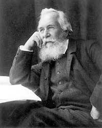 Haeckel Ernst
