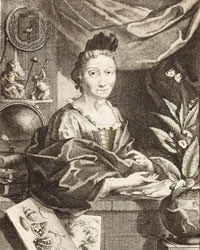 Maria-Sibylla-Merian-Straße