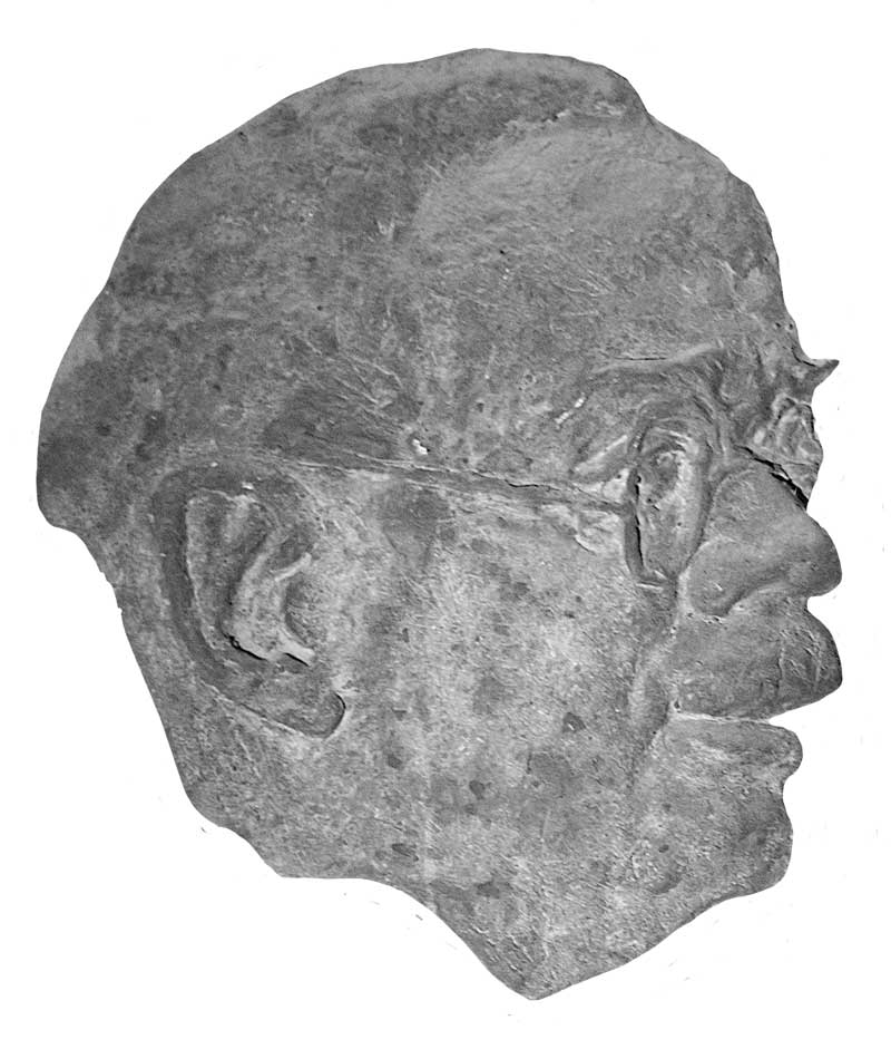 Carl Georg Steinicke